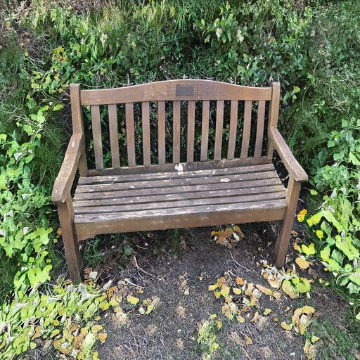 A photograph of a memorial bench which has been generated using artificial intelligence.