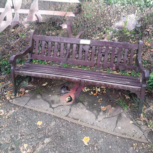 A photograph of a memorial bench which has been generated using artificial intelligence.