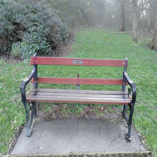 A photograph of a memorial bench which has been generated using artificial intelligence.