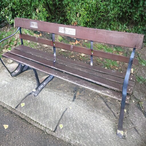 A photograph of a memorial bench which has been generated using artificial intelligence.